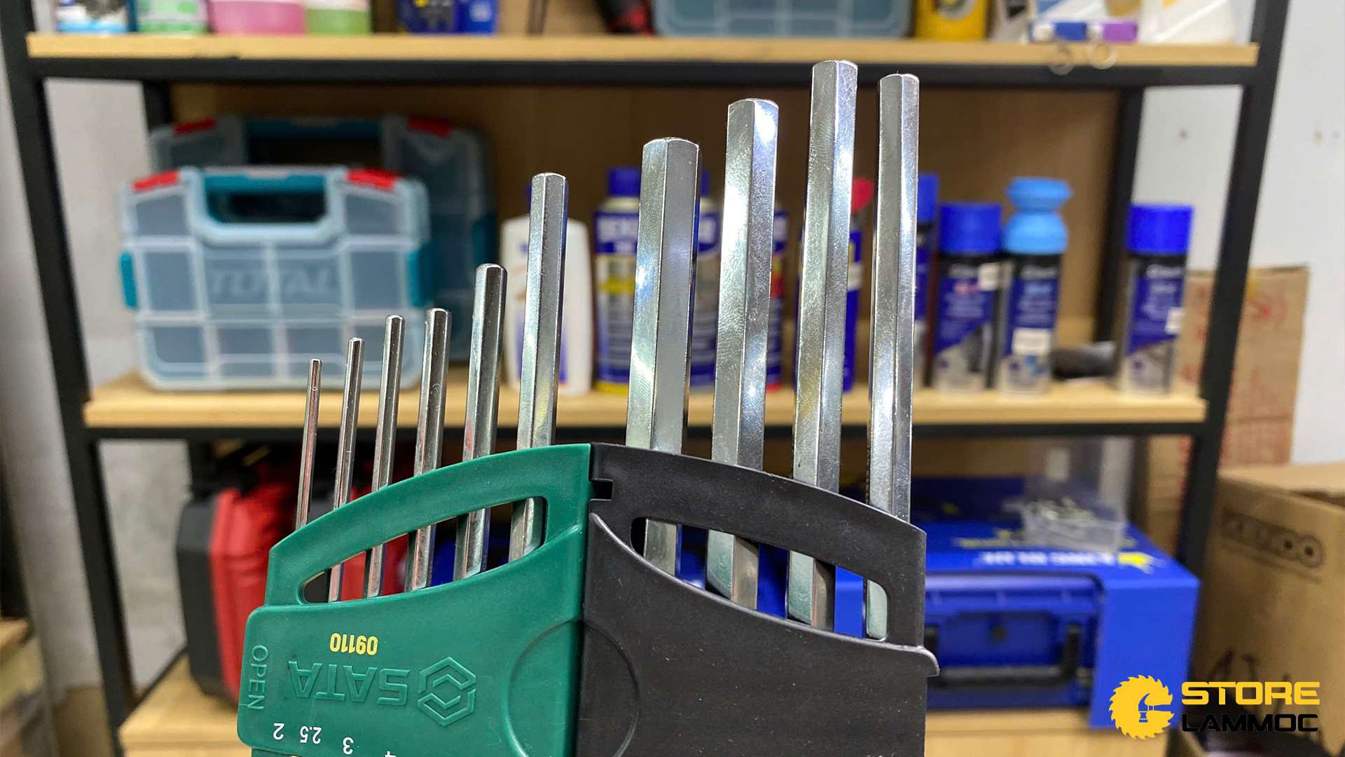 Bộ cờ lê hình chữ L (bộ 10 cái) Sata 09110